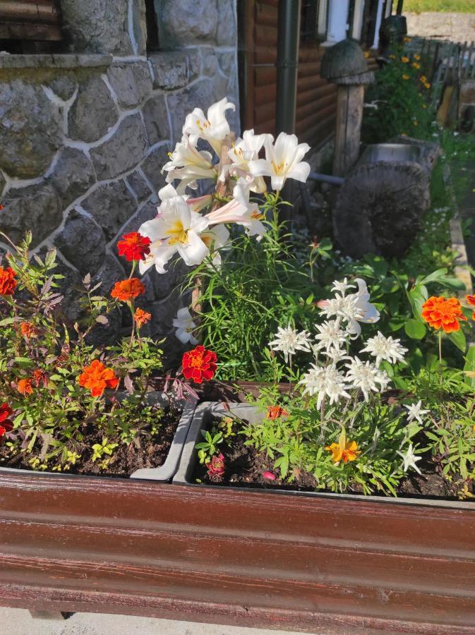 Smucarska Koca Kotlje Exterior foto