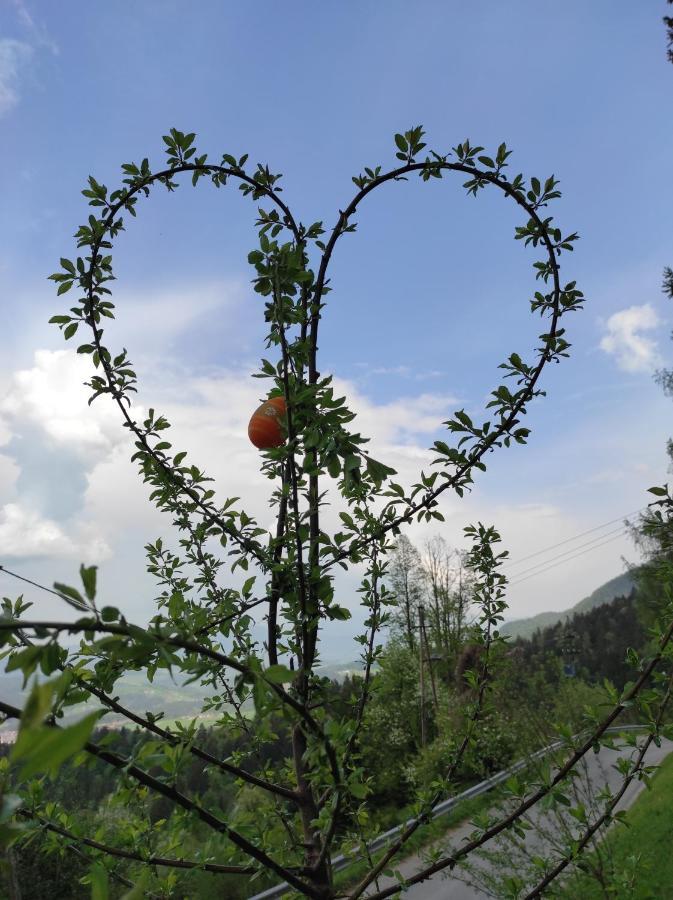 Smucarska Koca Kotlje Exterior foto